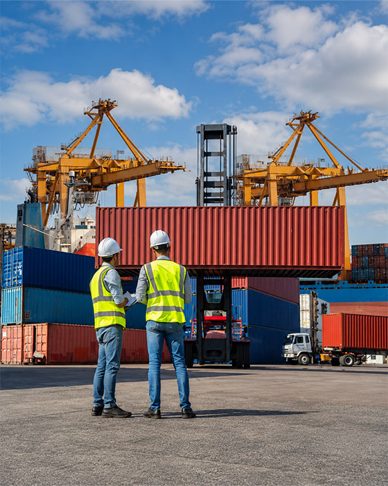Exportación